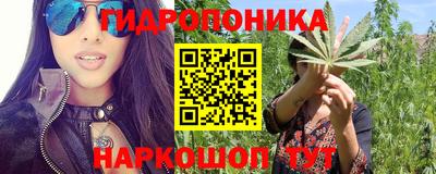 молекула духа Северобайкальск