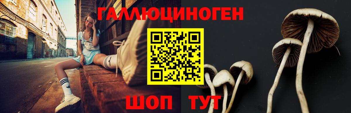 Галлюциногенные грибы GOLDEN TEACHER  Вход с VPN  Павловский Посад  Галлюциногенные грибы GOLDEN TEACHER 
